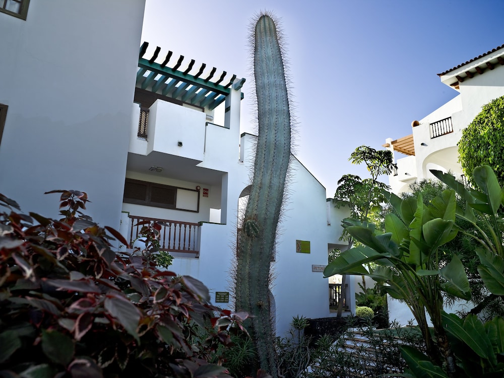 Hôtel BlueSea Callao Garden 3*, Séjour Espagne & ses îles, Canaries, Tenerife par Ôvoyages Hôtel BlueSea Callao Garden 3*, Séjour Espagne & ses îles, Canaries, Tenerife par Ôvoyages