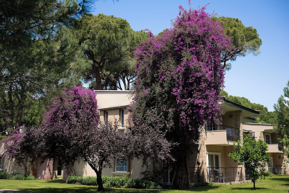 Pine Beach Belek 5*, Séjour Turquie, Antalya par Ôvoyages