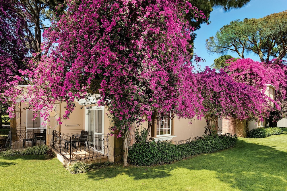 Pine Beach Belek 5*, Séjour Turquie, Antalya par Ôvoyages