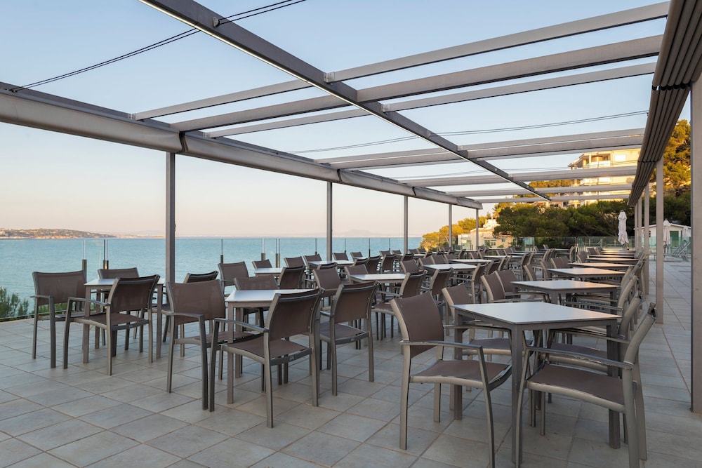 Hôtel Leonardo Royal Mallorca Palmanova Bay 4*, Séjour Espagne & ses îles, Baléares, Majorque par Ôvoyages Hôtel Leonardo Royal Mallorca Palmanova Bay 4*, Séjour Espagne & ses îles, Baléares, Majorque par Ôvoyages