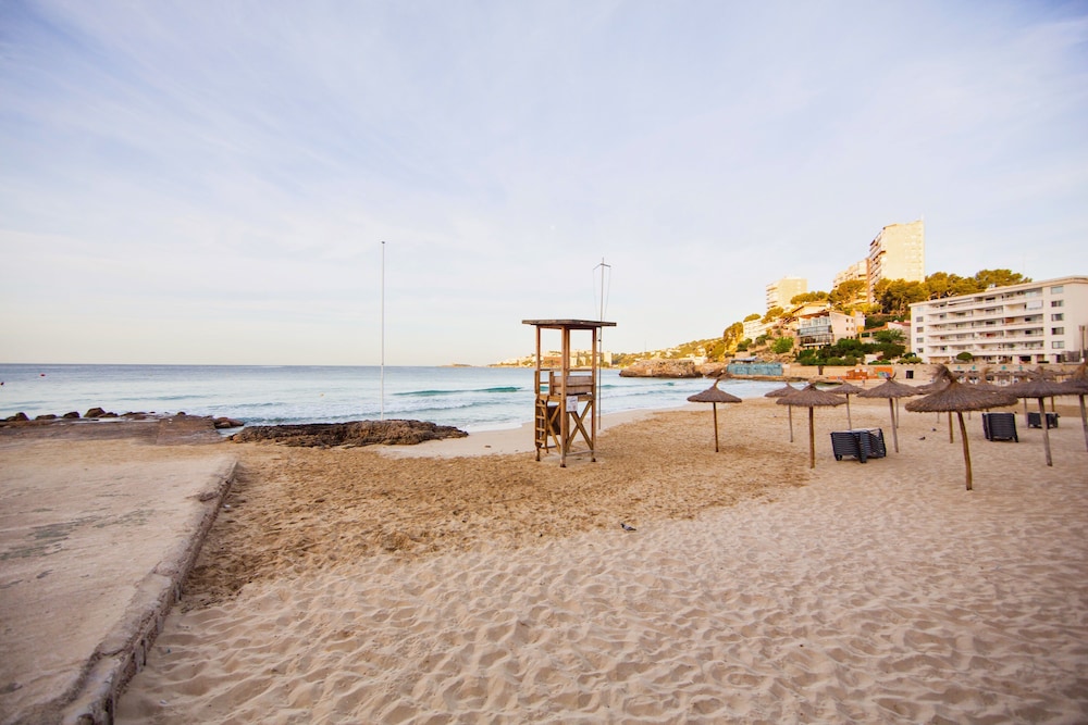 Be Live Experience Costa Palma - 48