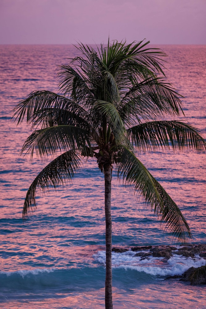 Hôtel Sandals Royal Barbados 5* Adult Only +18, Séjour Antilles, Barbade par Ôvoyages