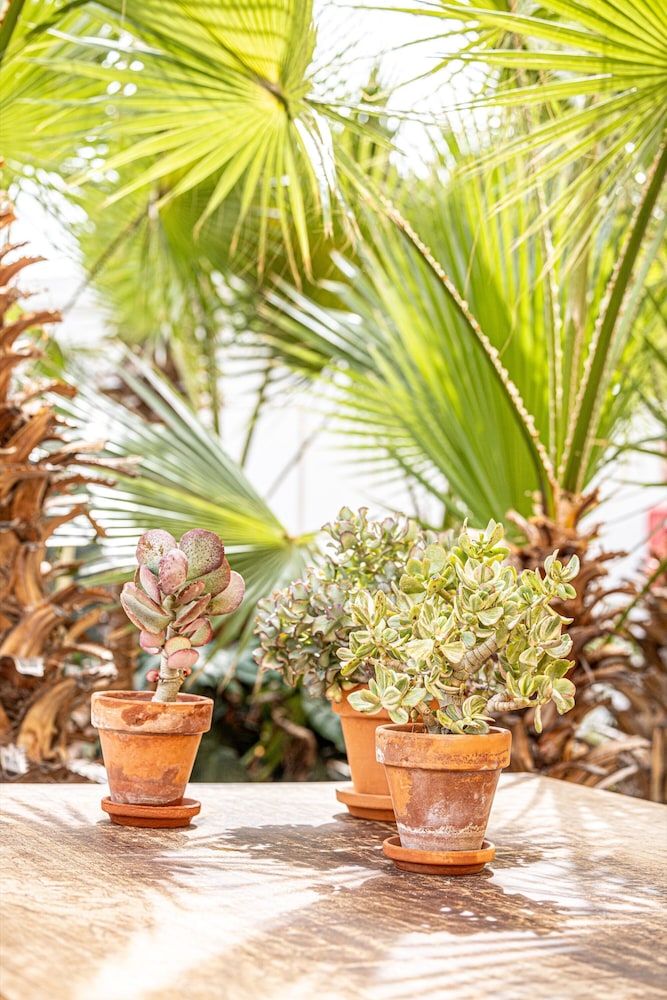 Hôtel Atlantic Holiday 4*, Séjour Espagne & ses îles, Canaries, Tenerife par Ôvoyages