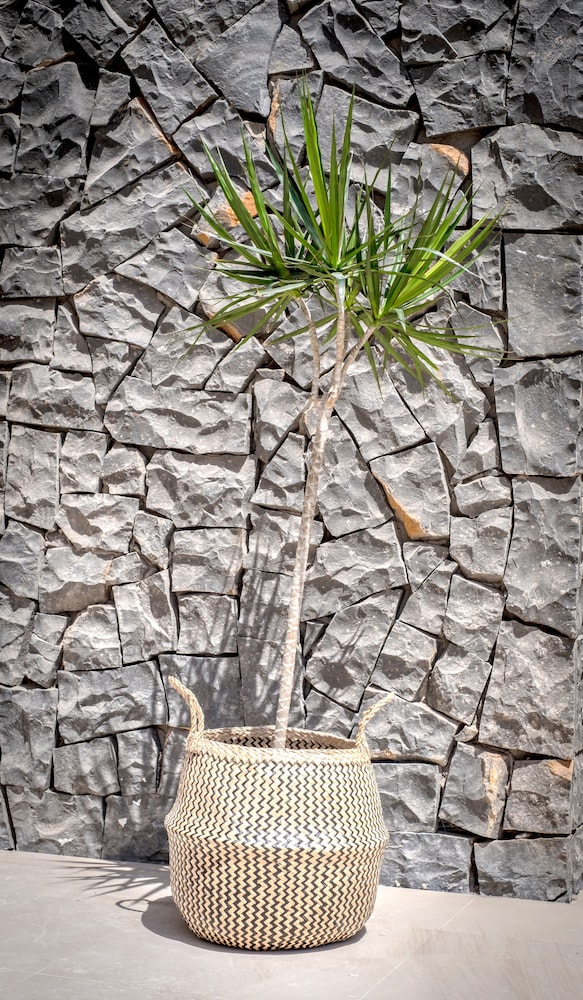 Hôtel Atlantic Holiday 4*, Séjour Espagne & ses îles, Canaries, Tenerife par Ôvoyages